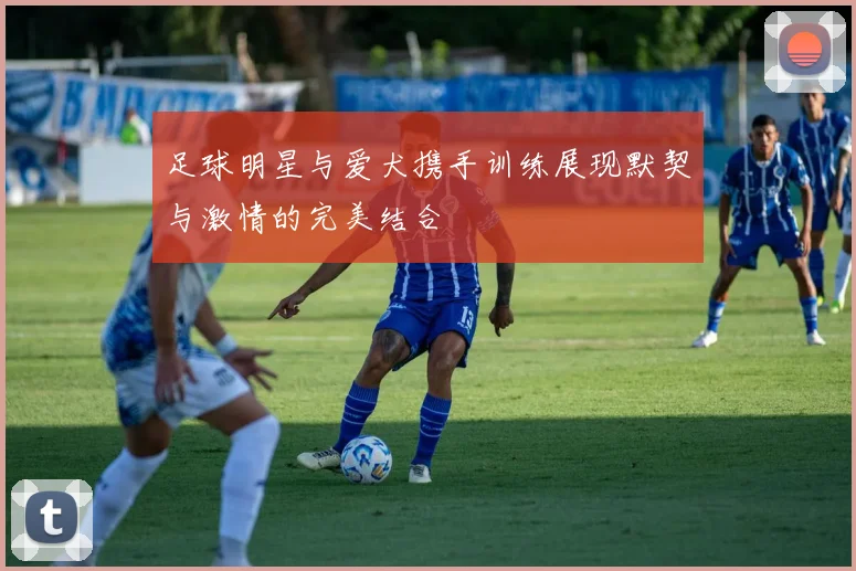 足球明星与爱犬携手训练展现默契与激情的完美结合