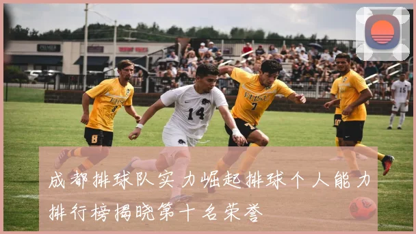 成都排球队实力崛起排球个人能力排行榜揭晓第十名荣誉