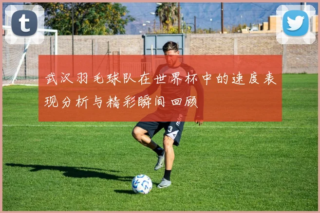 武汉羽毛球队在世界杯中的速度表现分析与精彩瞬间回顾
