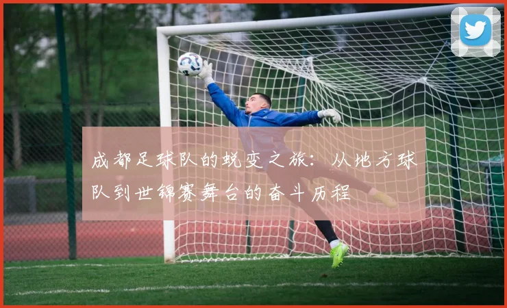 成都足球队的蜕变之旅：从地方球队到世锦赛舞台的奋斗历程