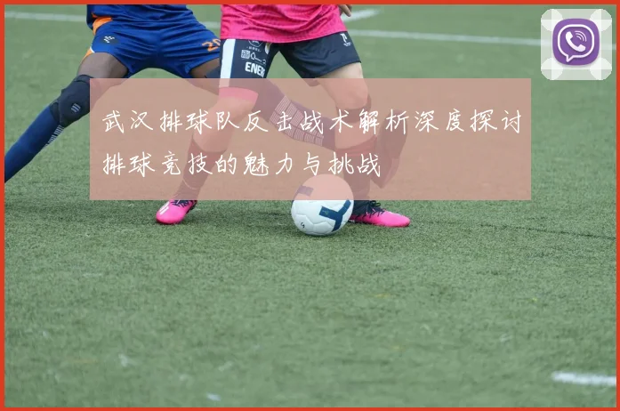 武汉排球队反击战术解析深度探讨排球竞技的魅力与挑战