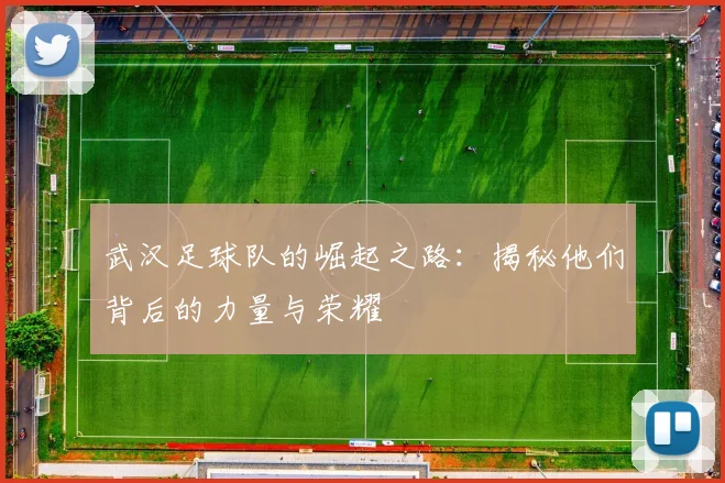 武汉足球队的崛起之路：揭秘他们背后的力量与荣耀