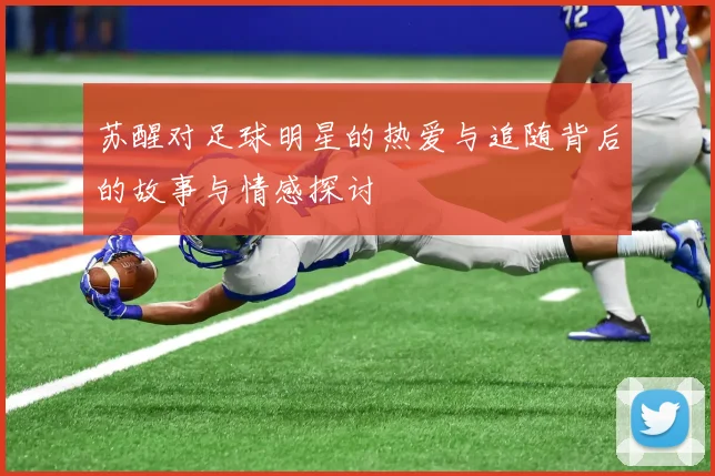 苏醒对足球明星的热爱与追随背后的故事与情感探讨