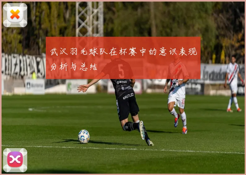 武汉羽毛球队在杯赛中的意识表现分析与总结