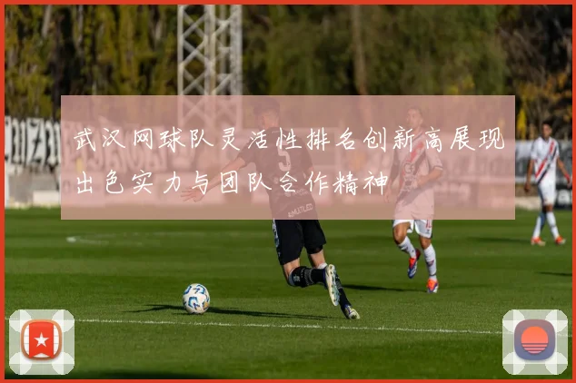 武汉网球队灵活性排名创新高展现出色实力与团队合作精神
