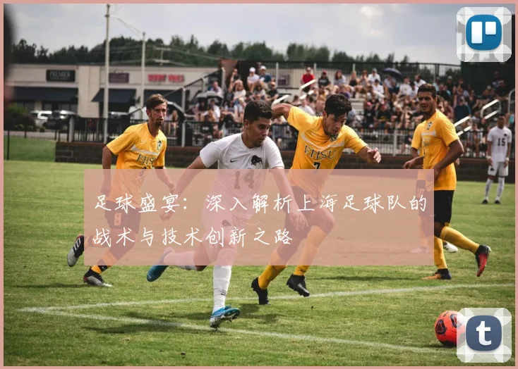 足球盛宴：深入解析上海足球队的战术与技术创新之路