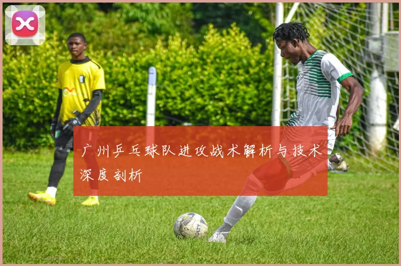 广州乒乓球队进攻战术解析与技术深度剖析